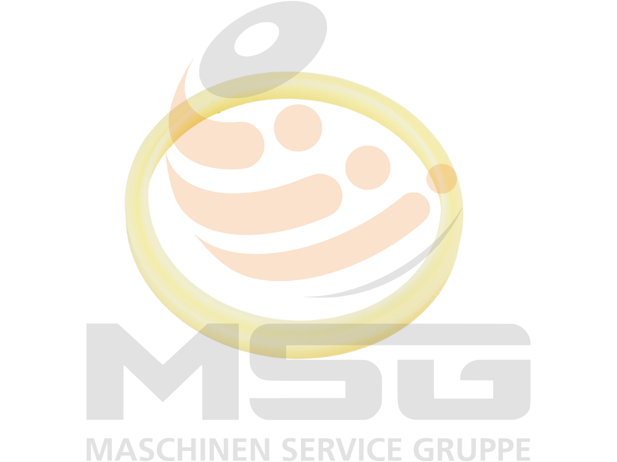 9079161330 Original Kubota Dichtring für Fettspannzylinder / Leitrad  