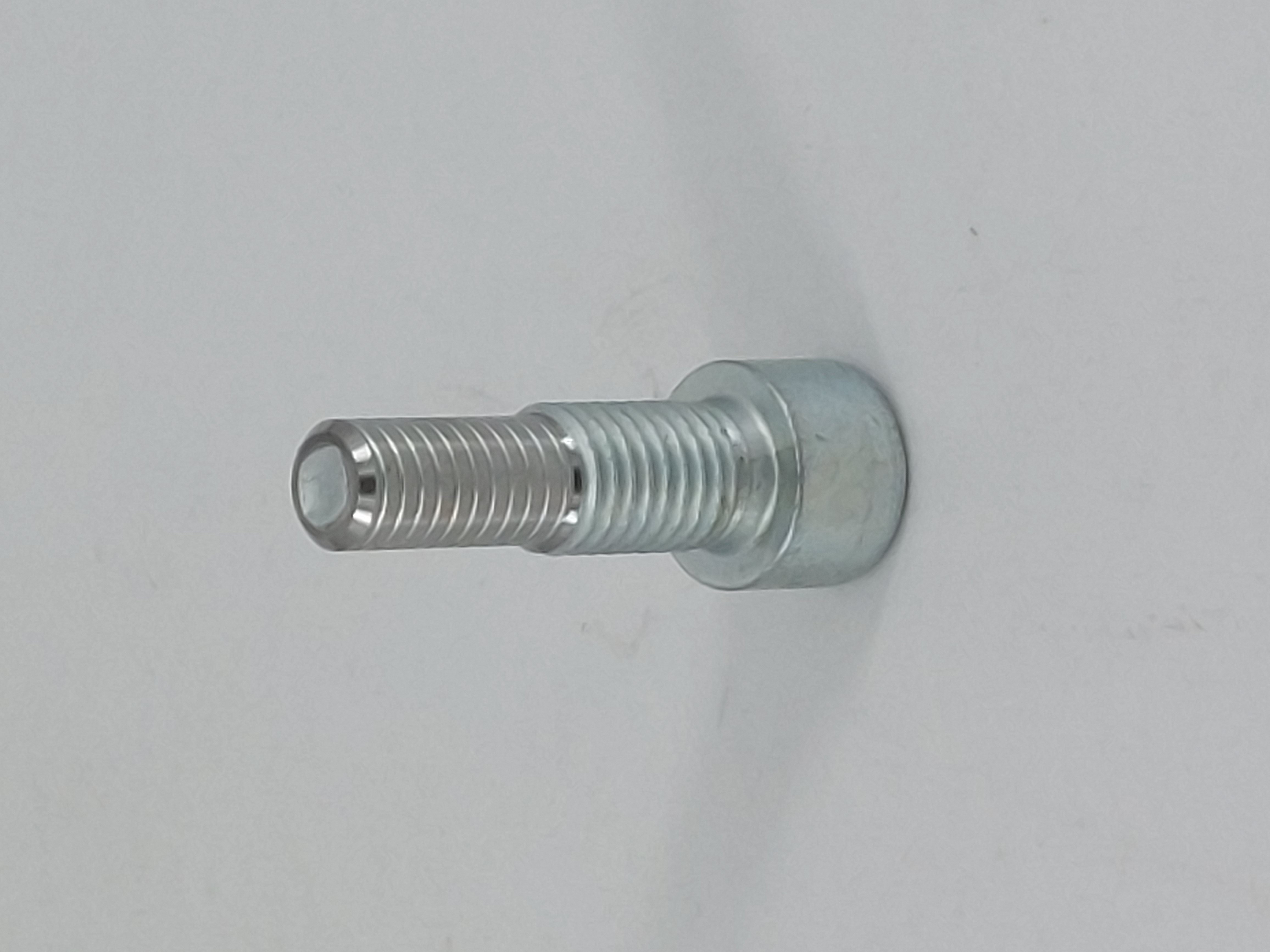 0155203109 BOLZEN HG.AUS M12X 40 912 8.8 Z.SCH.1045707230 