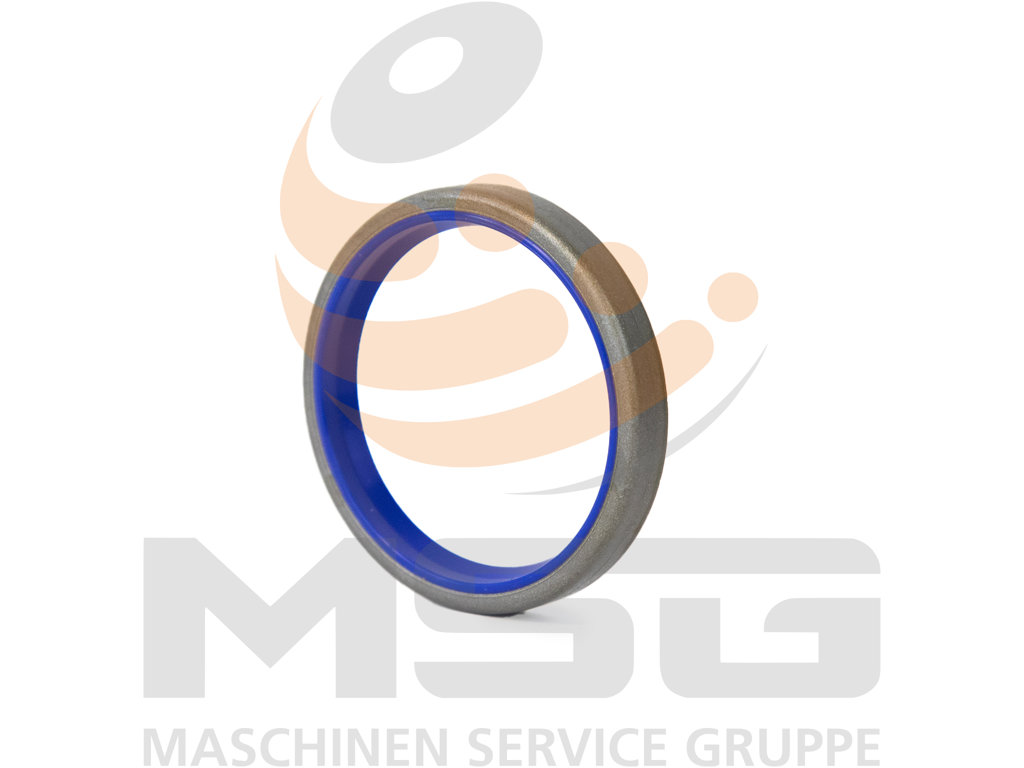 1673458 ABSTREIFRING BOLZEN 