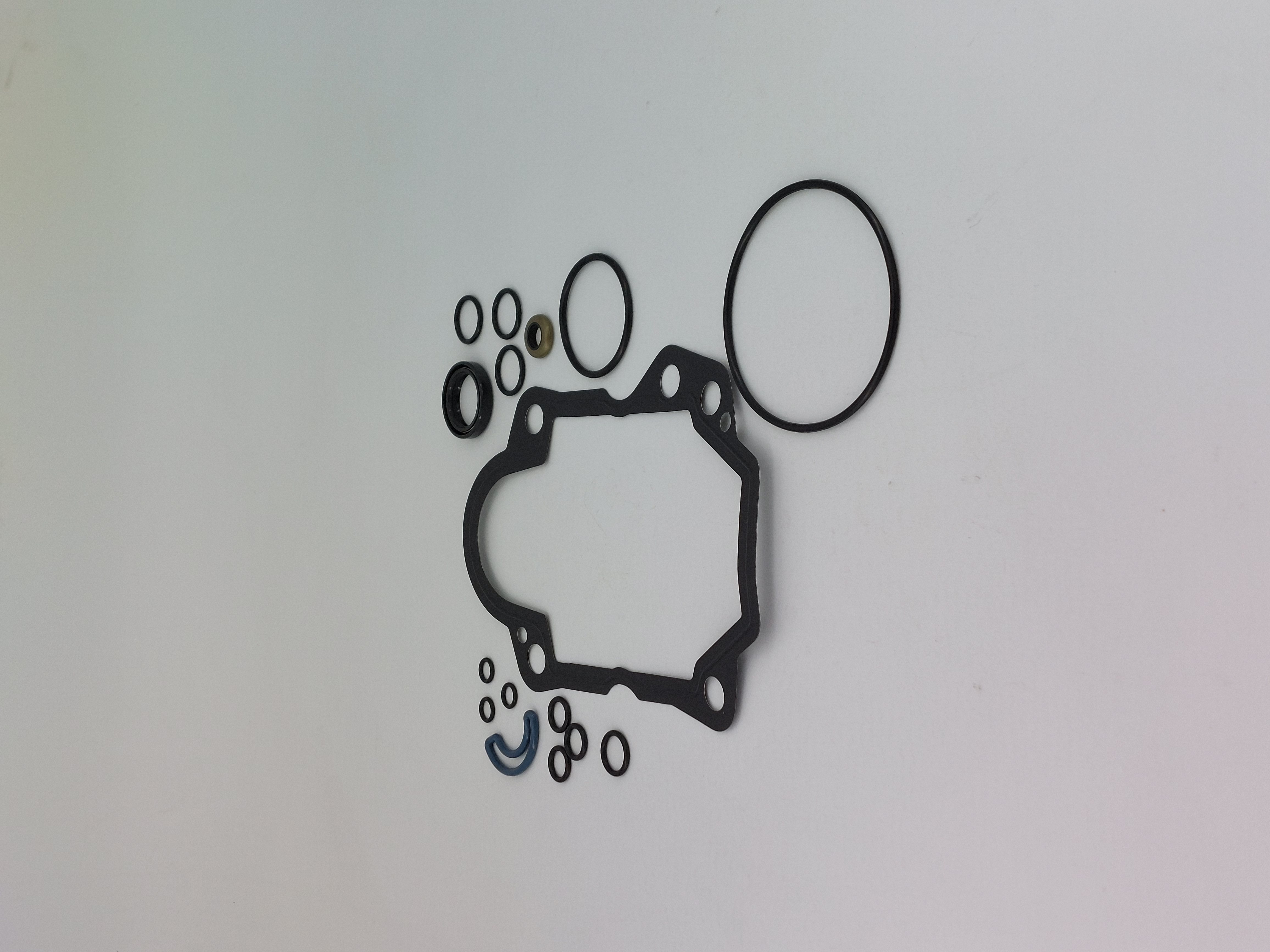 172460-73111 DICHTSATZ 