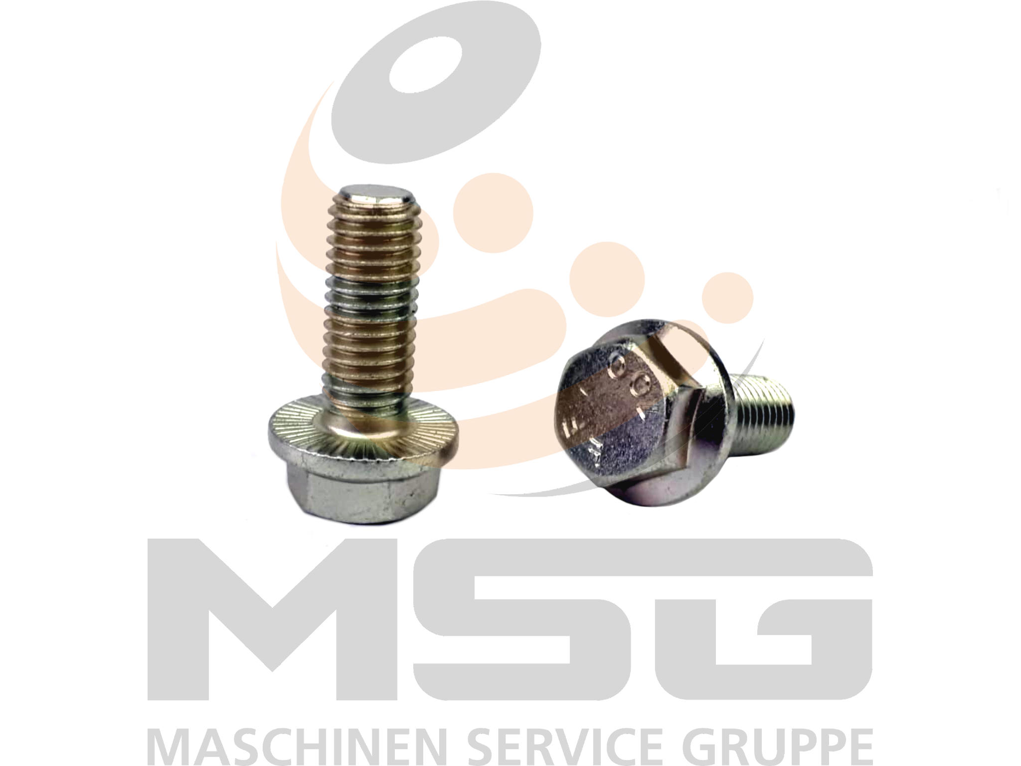 3960789 RIPP   SECHSKTSHR 