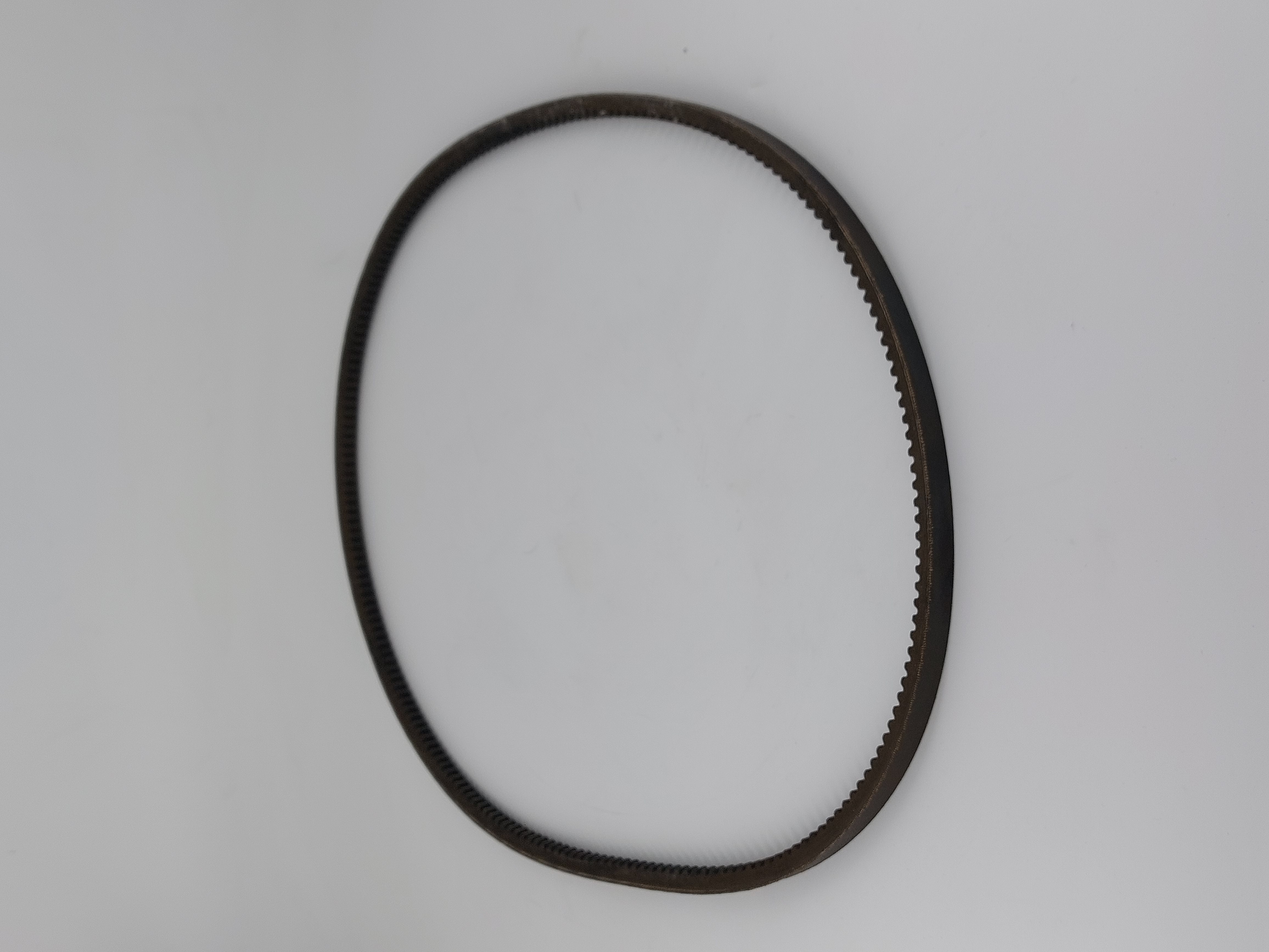 5568656652 KEILRIEMEN 