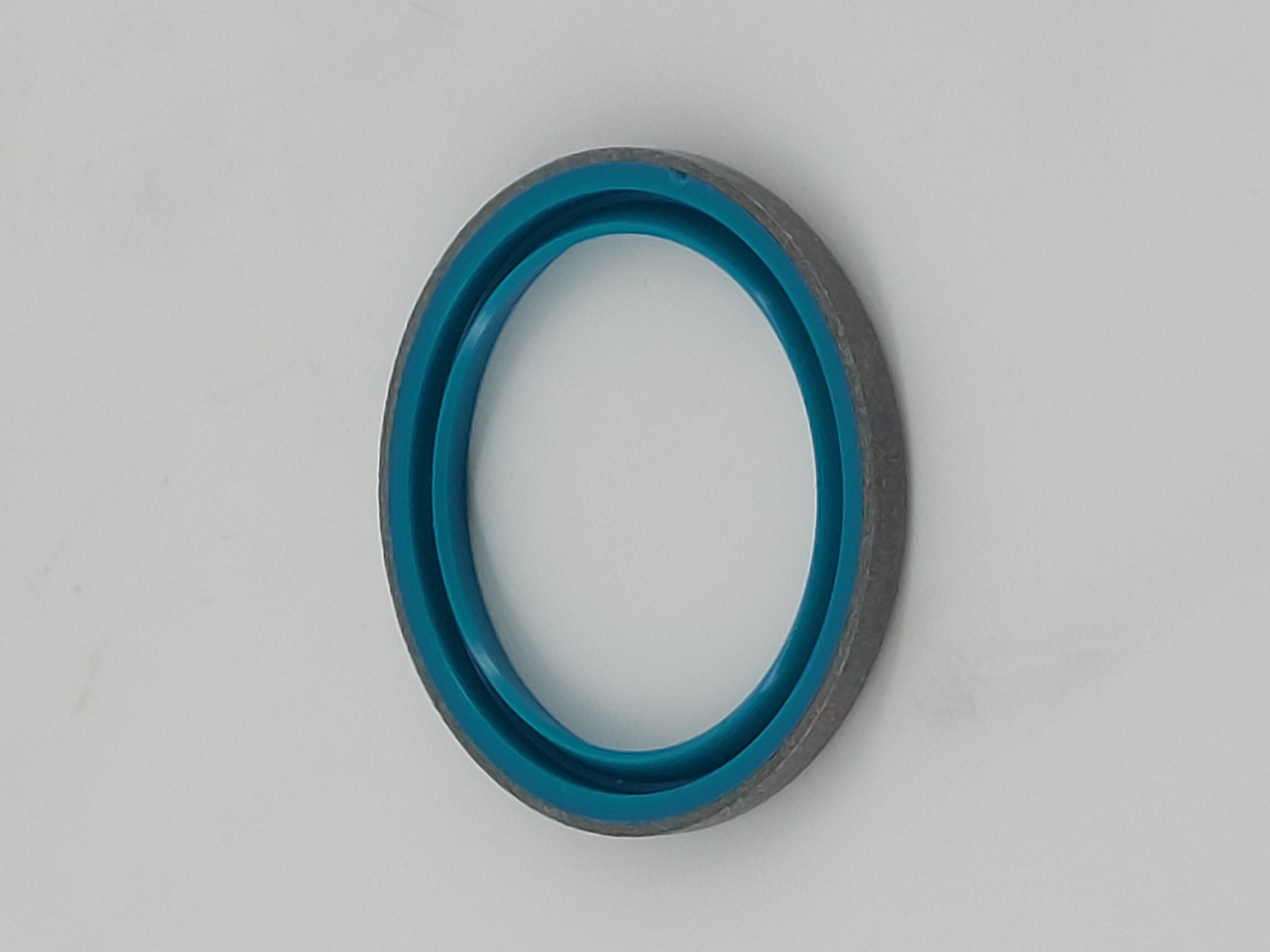 172B24-72500 SEAL DUST