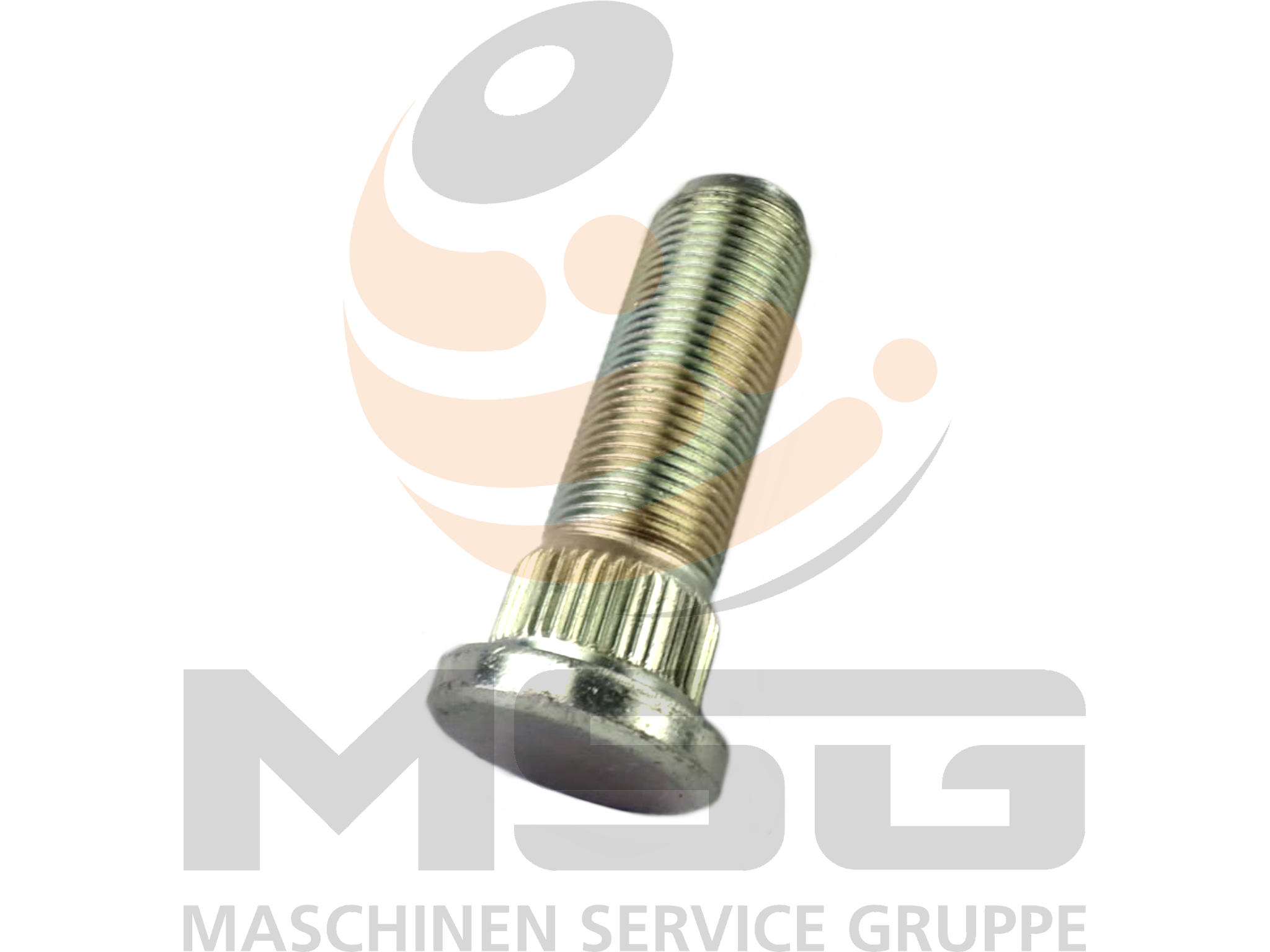 5370651144 RADBOLZEN 