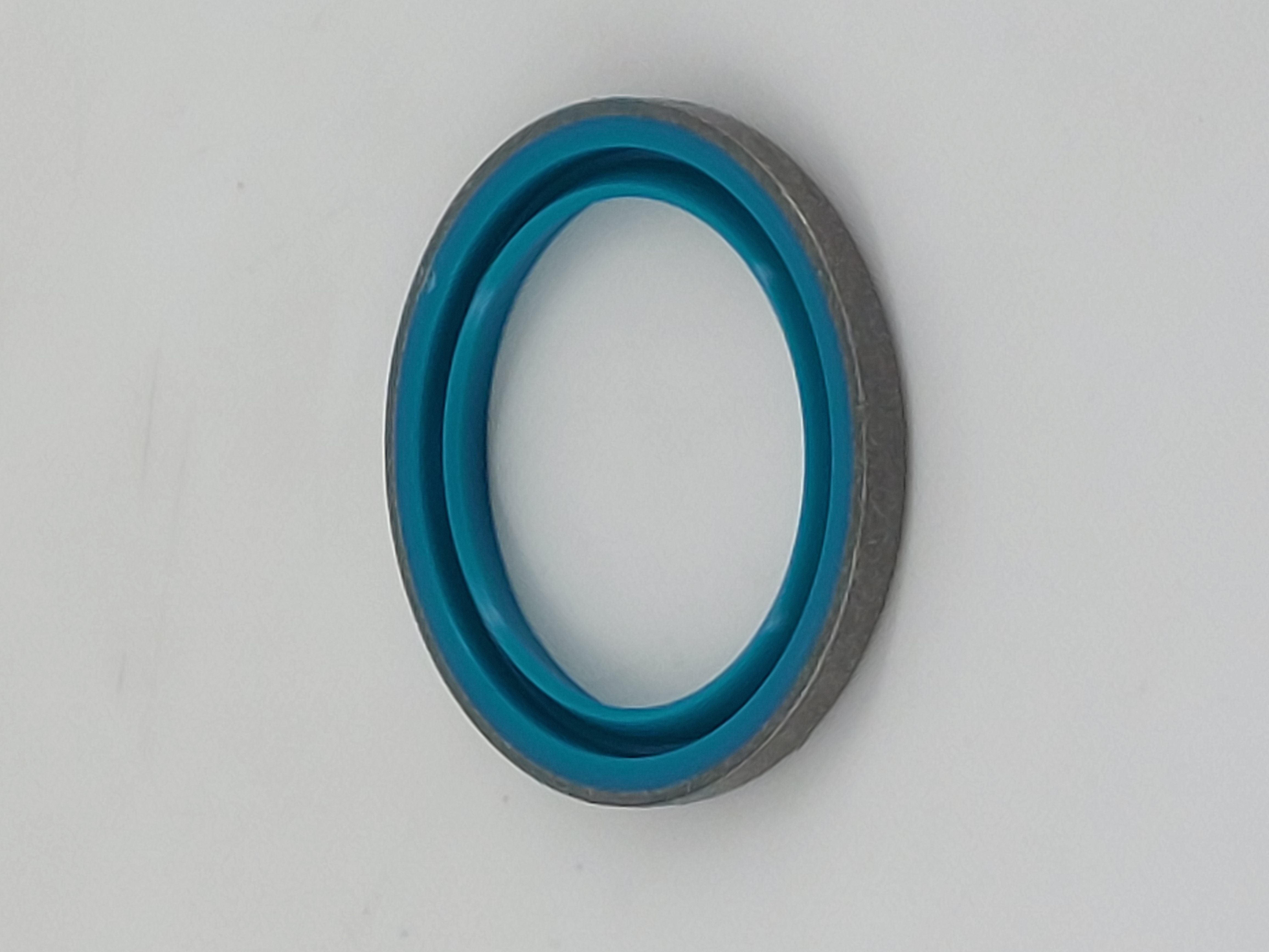172B24-72210 SEAL DUST