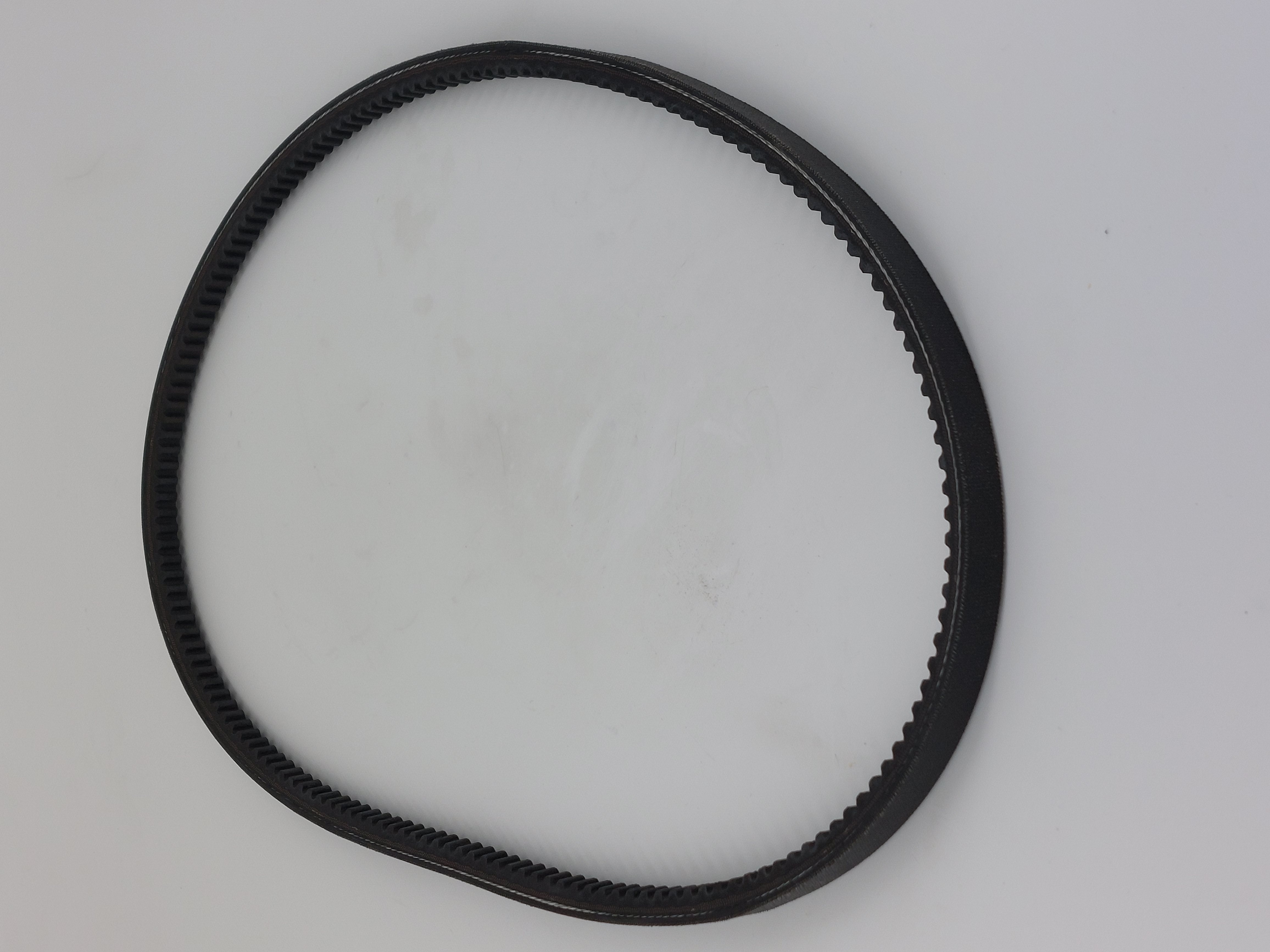 5568656583 KEILRIEMEN 