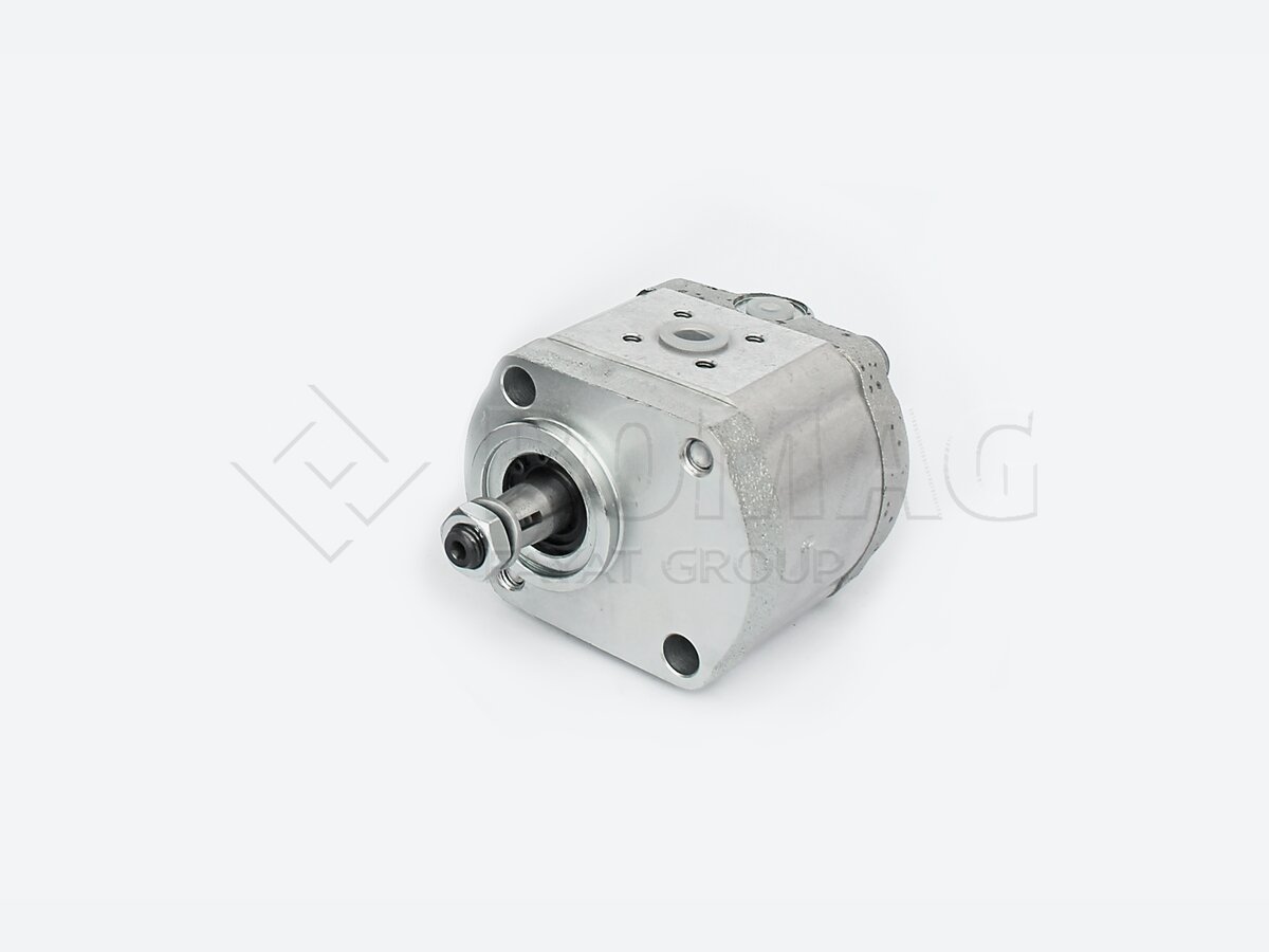 05813057 Hydraulikzahnradmotor